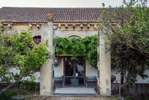 Sicilian Soul: Winery Tour, Wine & Food Tasting in Catania