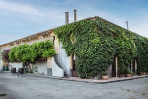 Sicilian Soul: Winery Tour, Wine & Food Tasting in Catania