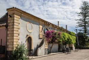 Sicilian Soul: Winery Tour, Wine & Food Tasting in Catania
