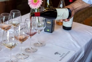 Sicilian Soul: Winery Tour, Wine & Food Tasting in Catania