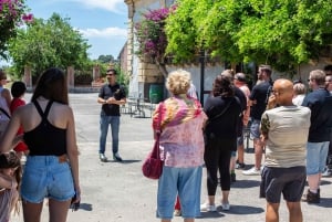 Sicilian Soul: Winery Tour, Wine & Food Tasting in Catania