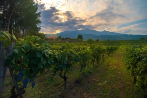 Wine and Lunch Tour