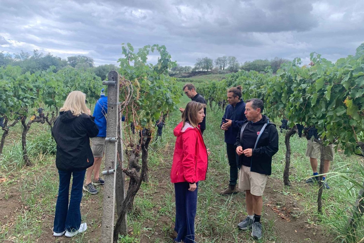 Prova de vinhos e visita a Taormina e Messina a partir de Messina