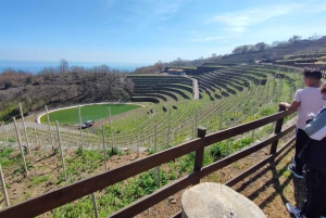 Wine Tasting and Tour of Taormina and Messina starting from Messina