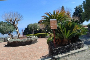 Wine Tasting and Tour of Taormina and Messina starting from Messina