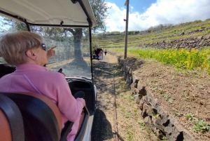 Wine Tasting and Tour of Taormina and Messina starting from Messina