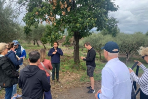 Wine Tasting and Tour of Taormina and Messina starting from Messina