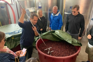 Wine Tasting and Tour of Taormina and Messina starting from Messina