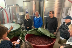 Wine Tasting and Tour of Taormina and Messina starting from Messina