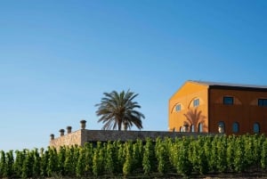 Wine Tasting and Typical Tastings in the Val di Noto