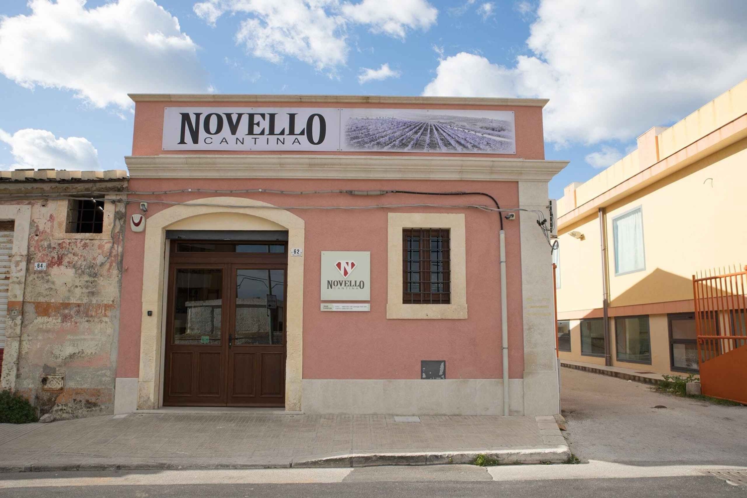 Degustação na adega