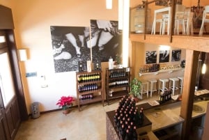 Vinsmaking i vinkjelleren