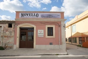 Vinsmaking i vinkjelleren