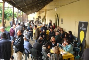 Wine Tasting in the historic baglio Florio Adamo