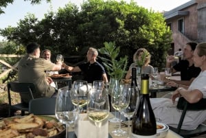 Wine tasting on Etna: volcanic flavors, history, and tradition