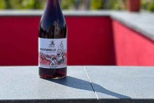 Weintour mit Weinverkostung