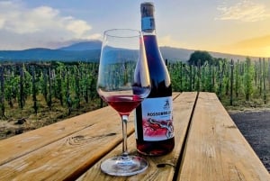 Weintour mit Weinverkostung