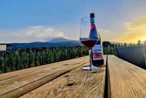 Weintour mit Weinverkostung