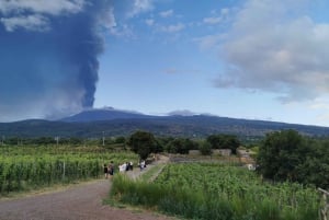 Weintour mit Weinverkostung