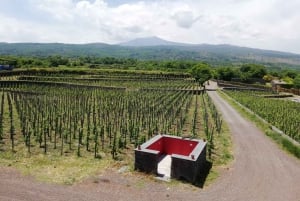 Weintour mit Weinverkostung