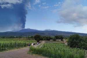 ワインの試飲付きワインツアー