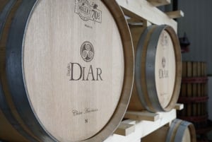 Vingårdstur och provsmakning av sicilianska ekologiska viner i Marsala