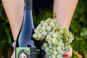 Vingårdstur och provsmakning av sicilianska ekologiska viner i Marsala