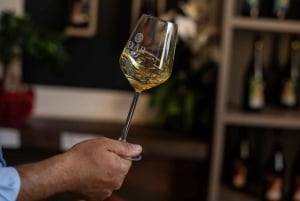 Vingårdstur och provsmakning av sicilianska ekologiska viner i Marsala