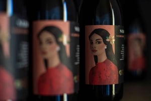 Vingårdstur och provsmakning av sicilianska ekologiska viner i Marsala