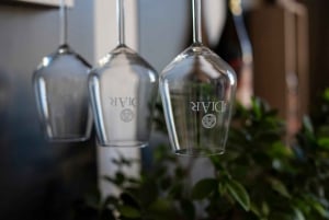 Vingårdstur och provsmakning av sicilianska ekologiska viner i Marsala