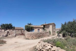 Weingut-Tour und Wein- & Lebensmittelverkostung in der Nähe von Ragusa