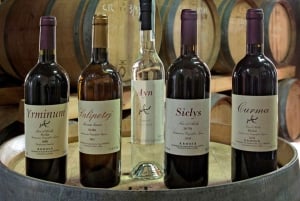 Weingut-Tour und Wein- & Lebensmittelverkostung in der Nähe von Ragusa