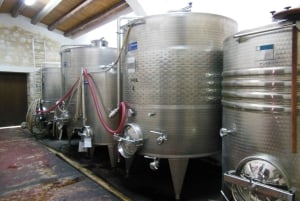 Weingut-Tour und Wein- & Lebensmittelverkostung in der Nähe von Ragusa