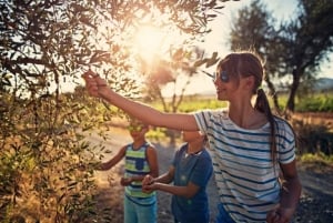 Wycieczka do winnicy w Marsali z degustacją win i lokalnych produktów.