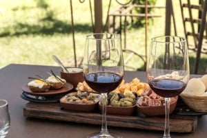 Wycieczka do winnicy w Marsali z degustacją win i lokalnych produktów.