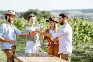 Wycieczka do winnicy w Marsali z degustacją win i lokalnych produktów.