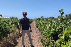 Scicli: tour della cantina e degustazione di vini e specialità locali