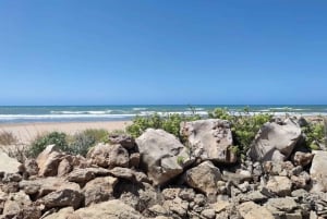 Scicli: tour della cantina e degustazione di vini e specialità locali