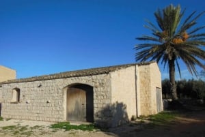 Scicli: tour della cantina e degustazione di vini e specialità locali