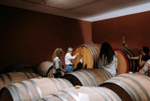 Winery Visit & Tasting on the Volcanic Slopes near Catania
