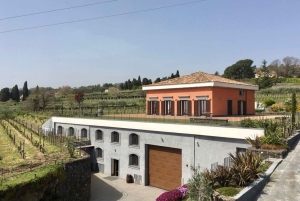 Winery Visit & Tasting on the Volcanic Slopes near Catania