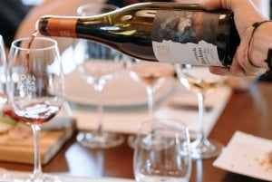 Visite de la cave et dégustation sur les pentes volcaniques près de Catane