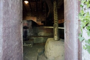 Visite de la cave et dégustation sur les pentes volcaniques près de Catane
