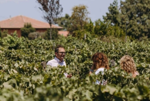 Besøk på vingård og smaking på vulkanske skråninger nær Catania