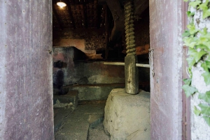 Besøk på vingård og smaking på vulkanske skråninger nær Catania