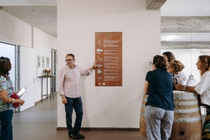 Besøk på vingård og smaking på vulkanske skråninger nær Catania