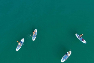 WWF TOUR alla Riserva Naturale di Torre Salsa in SUP