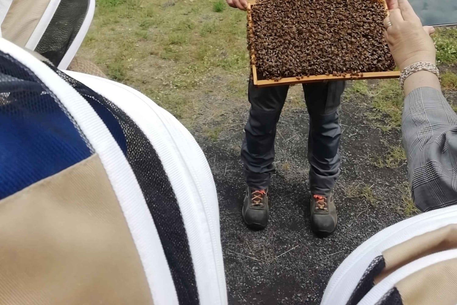 Zafferana Etnea: Honningekstraksjonsverksted og honningsmaking