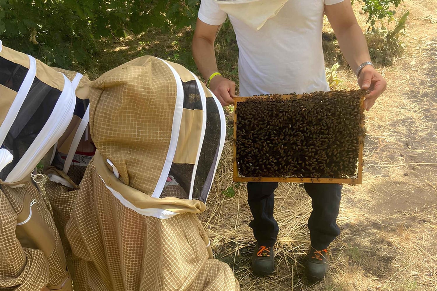Zafferana Etnea: Honningekstraksjonsverksted og honningsmaking