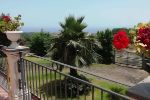 Zafferana Etnea: Honningekstraksjonsverksted og honningsmaking